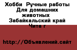 Хобби. Ручные работы Для домашних животных. Забайкальский край,Чита г.